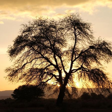 Andes Nomads Desert Camp & Lodge Сан Педро де Атакама Екстериор снимка