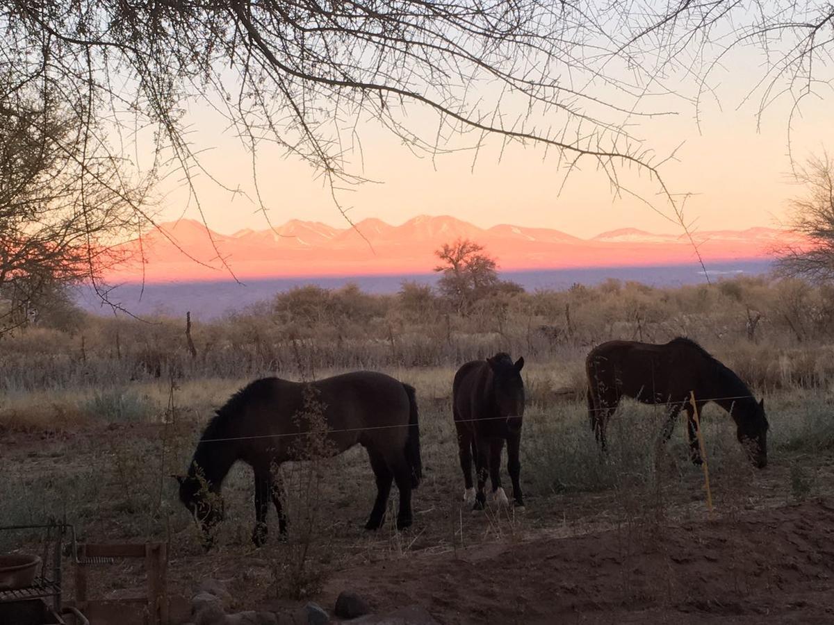 Andes Nomads Desert Camp & Lodge Сан Педро де Атакама Екстериор снимка